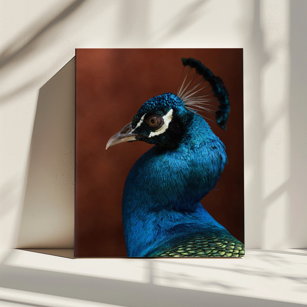 Verleidingsmodus | Canvas