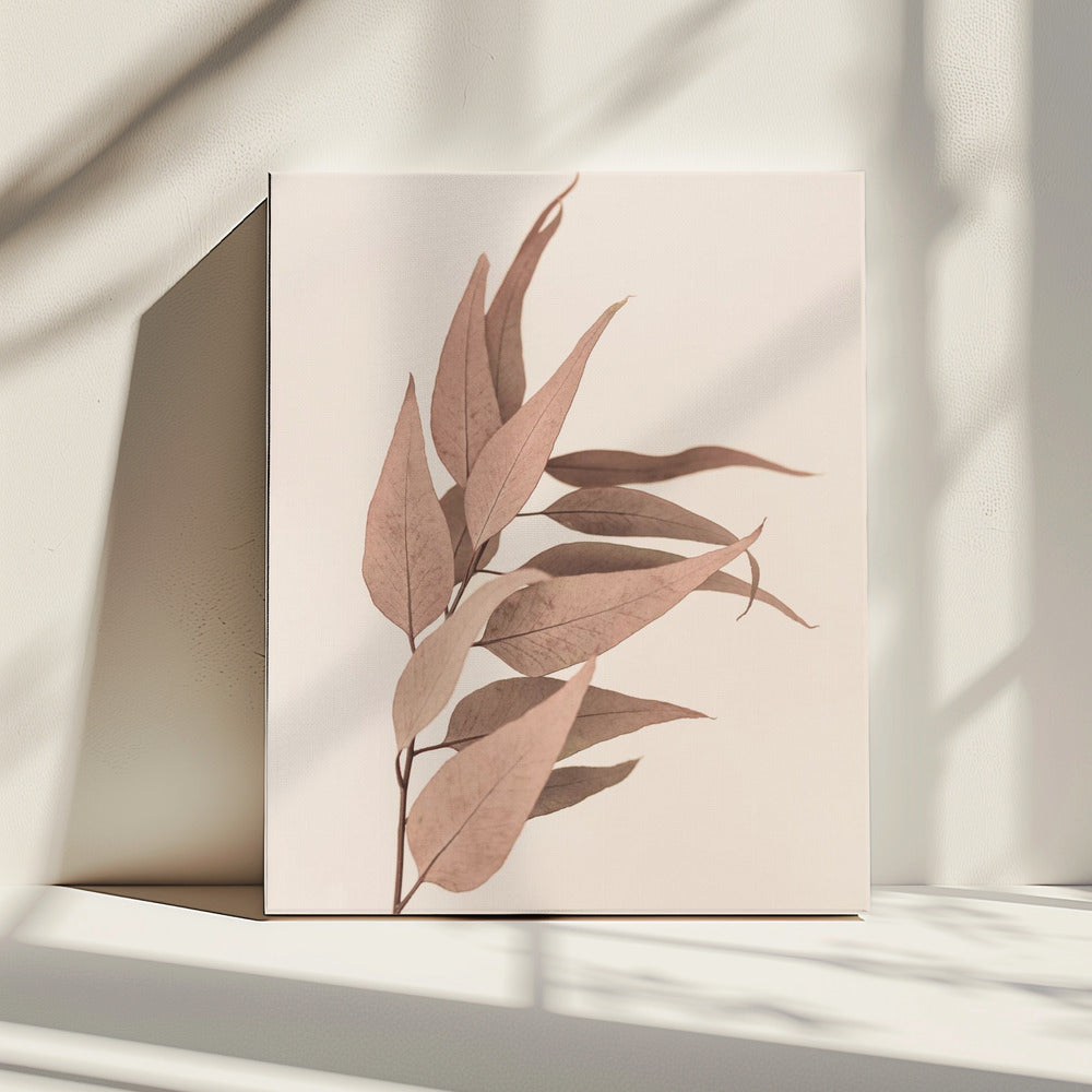 Gedroogde eucalyptus | Canvas