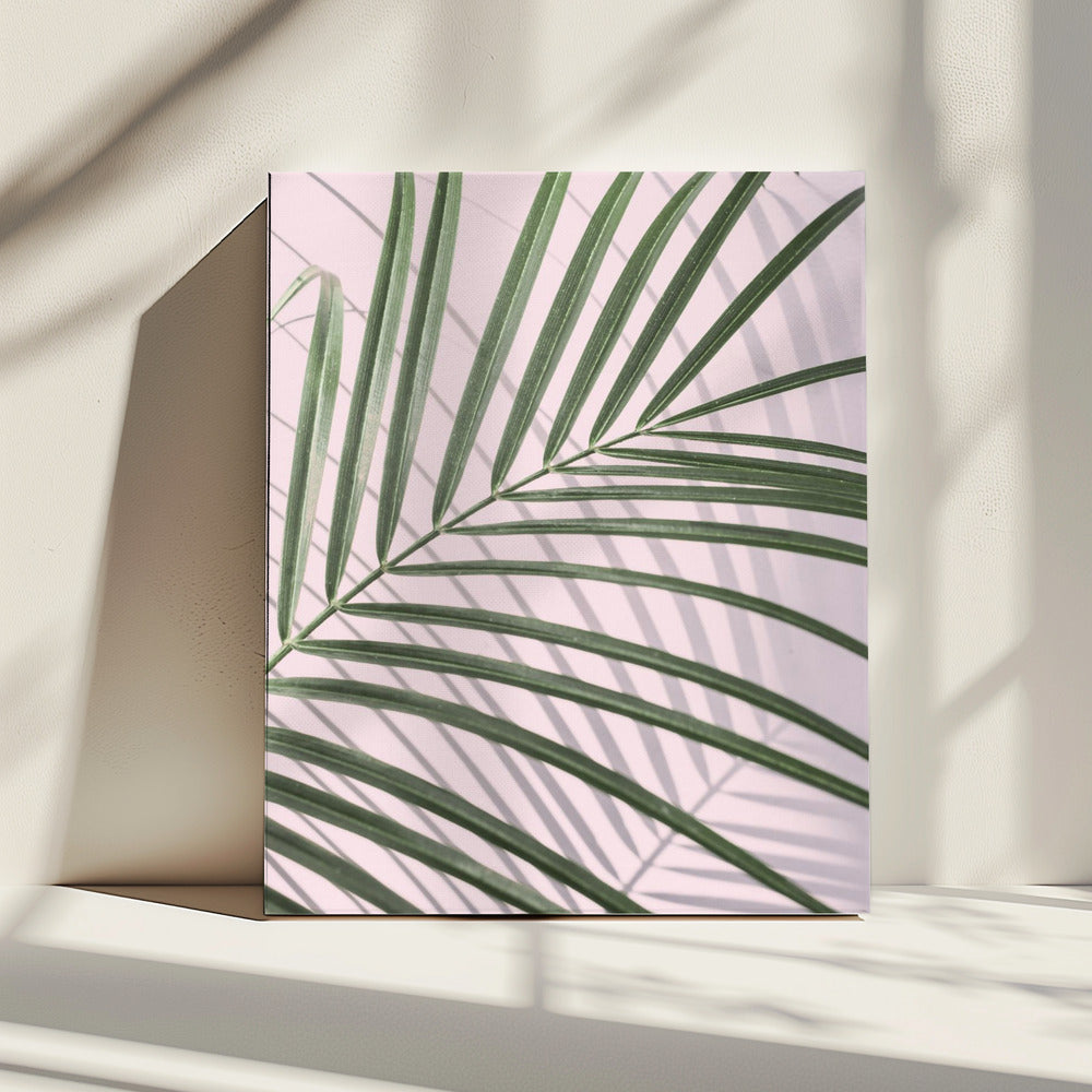 Palmblad Schaduw | Canvas