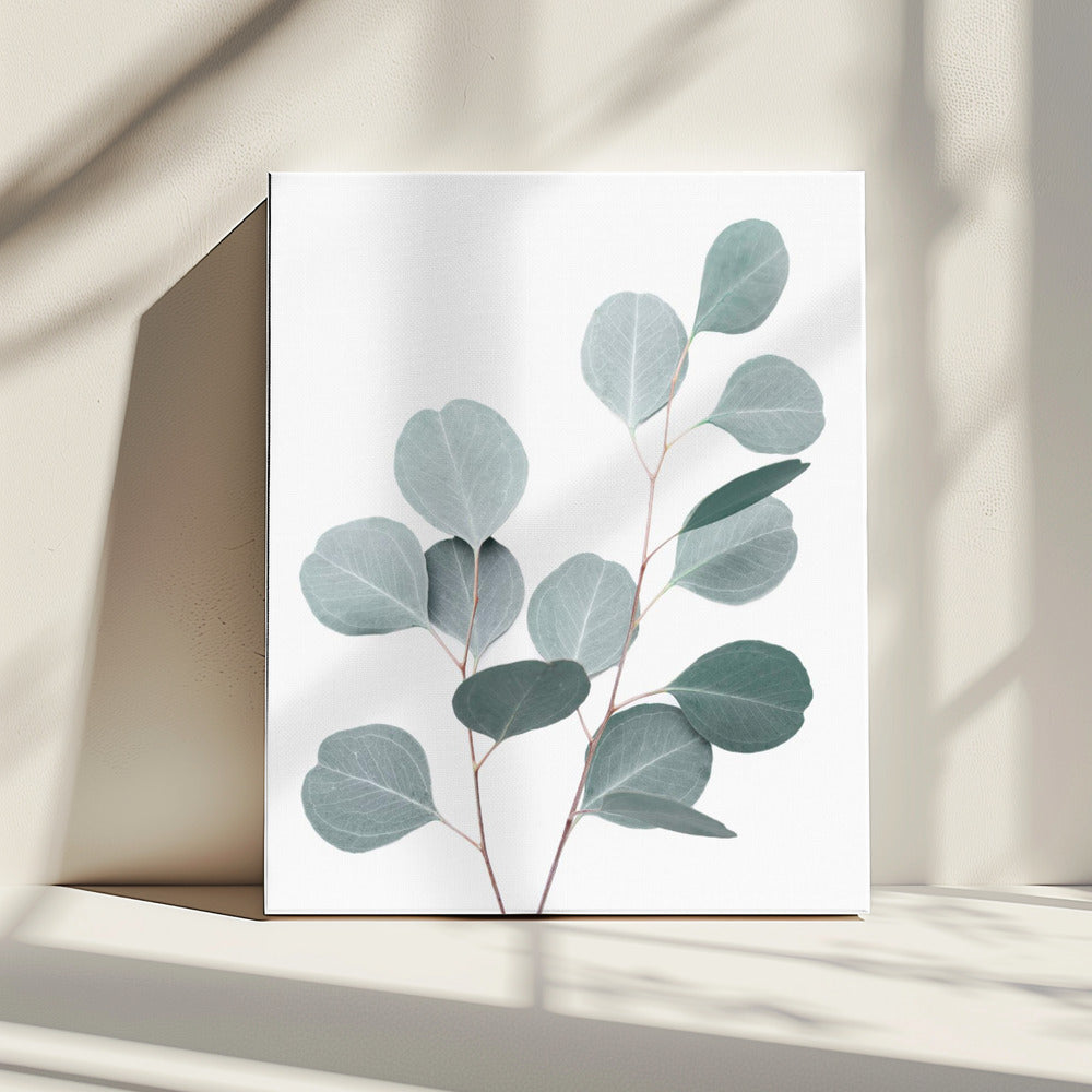Zilverdollar | Canvas