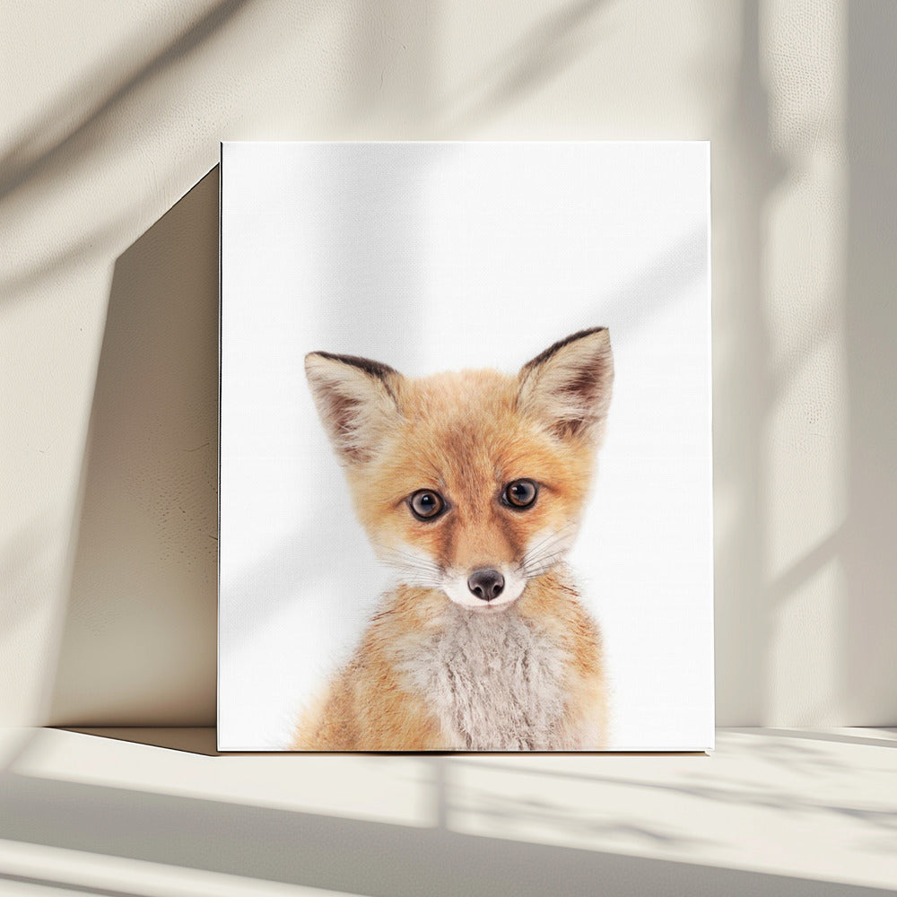 Baby Vos | Canvas