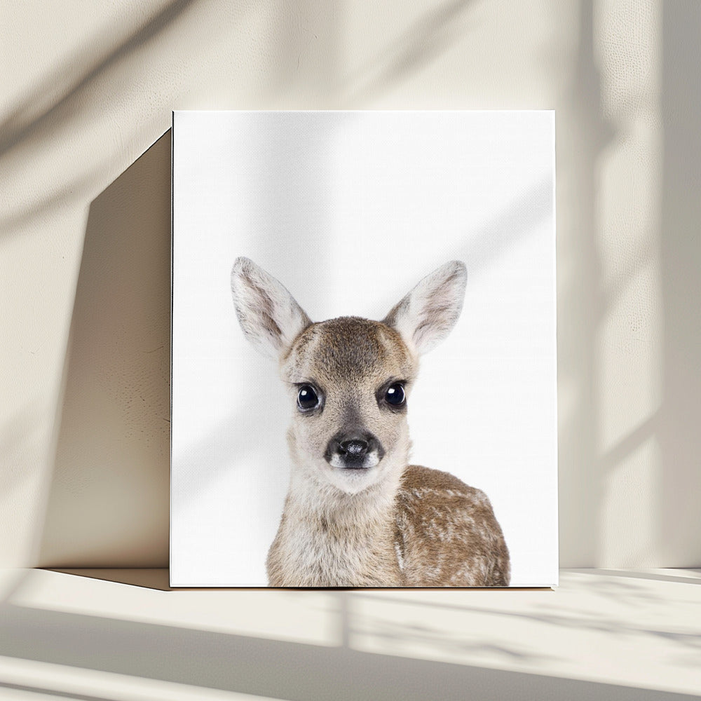 Babyhert | Canvas