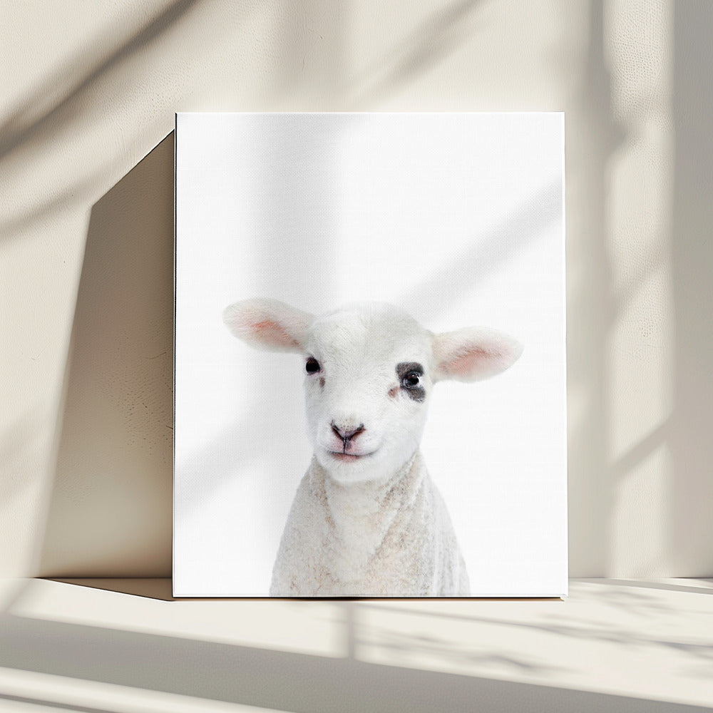 Babylammetje | Canvas