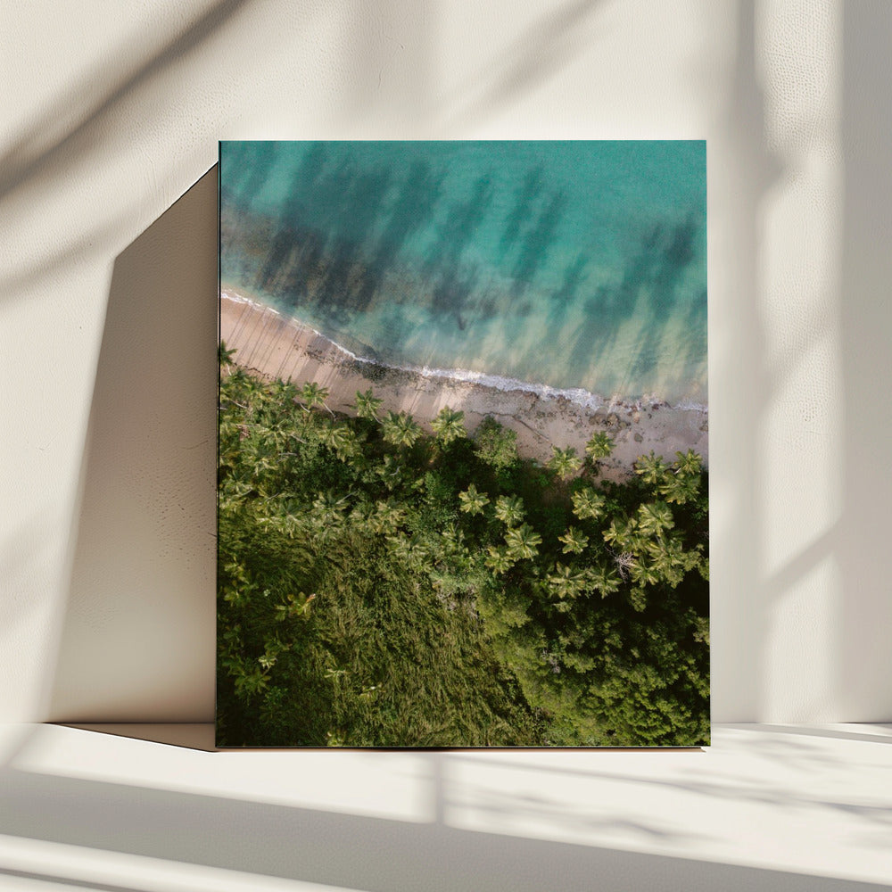 Palm Beach van bovenaf | Canvas