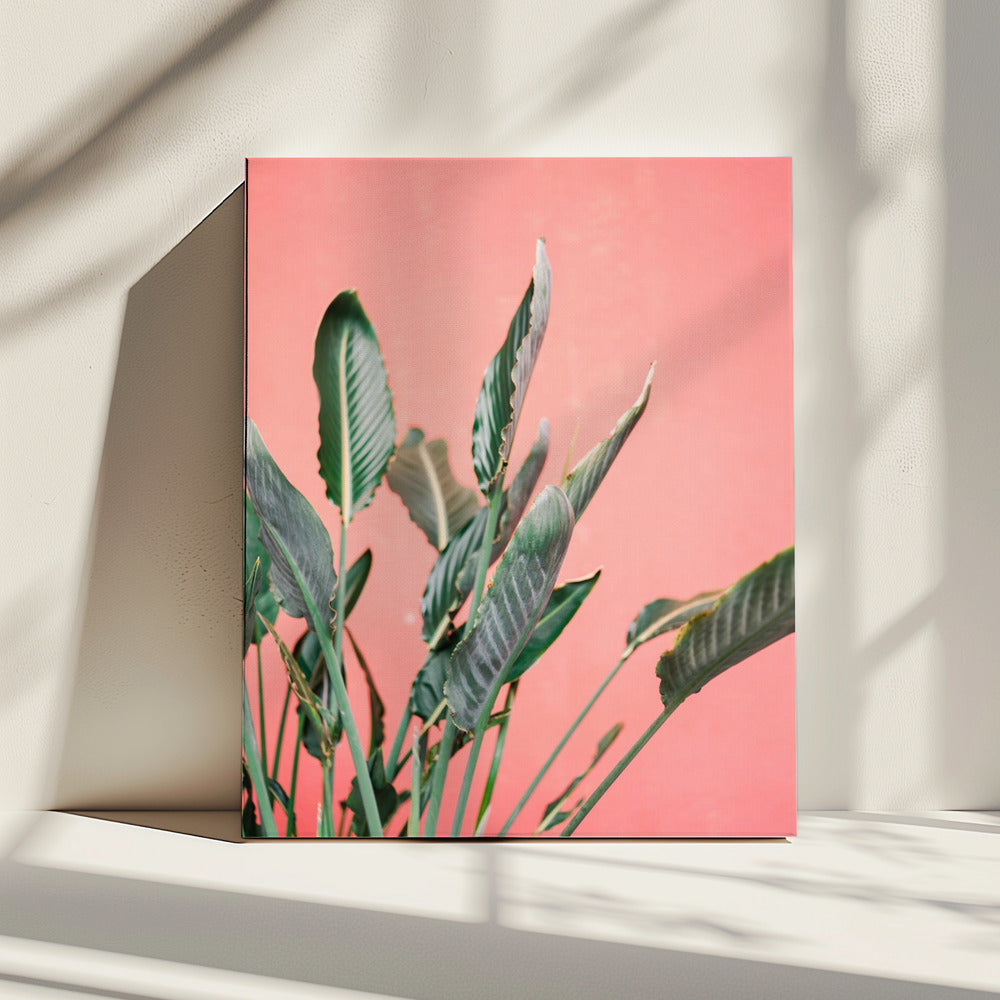 Zuid-Spanje 7 | Canvas