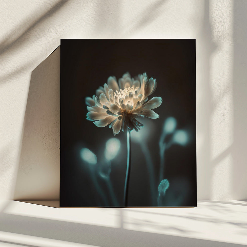 "Lichtgevende Bloesem" | Canvas