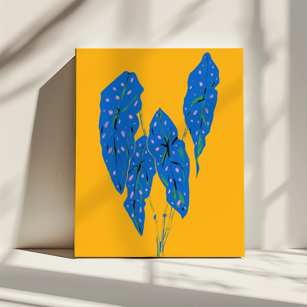 Begonia Maculata Blauw en Geel | Canvas