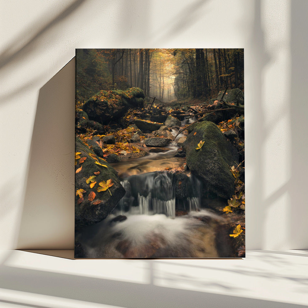 Dromerige herfst | Canvas