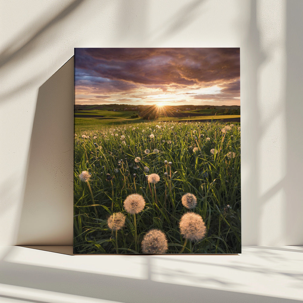 Klaprooswereld | Canvas