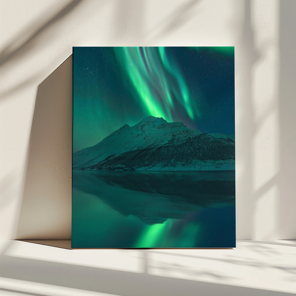 Reflecterende Fee | Canvas