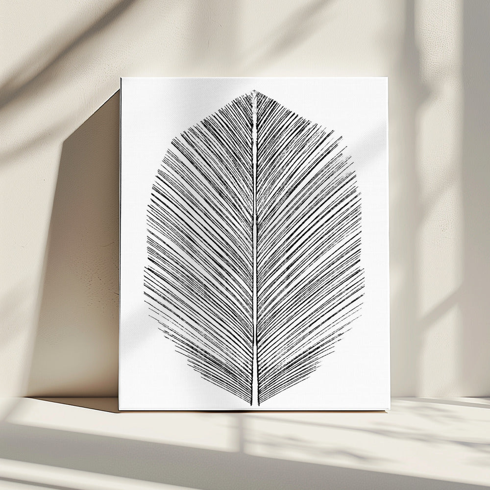 Veer | Canvas