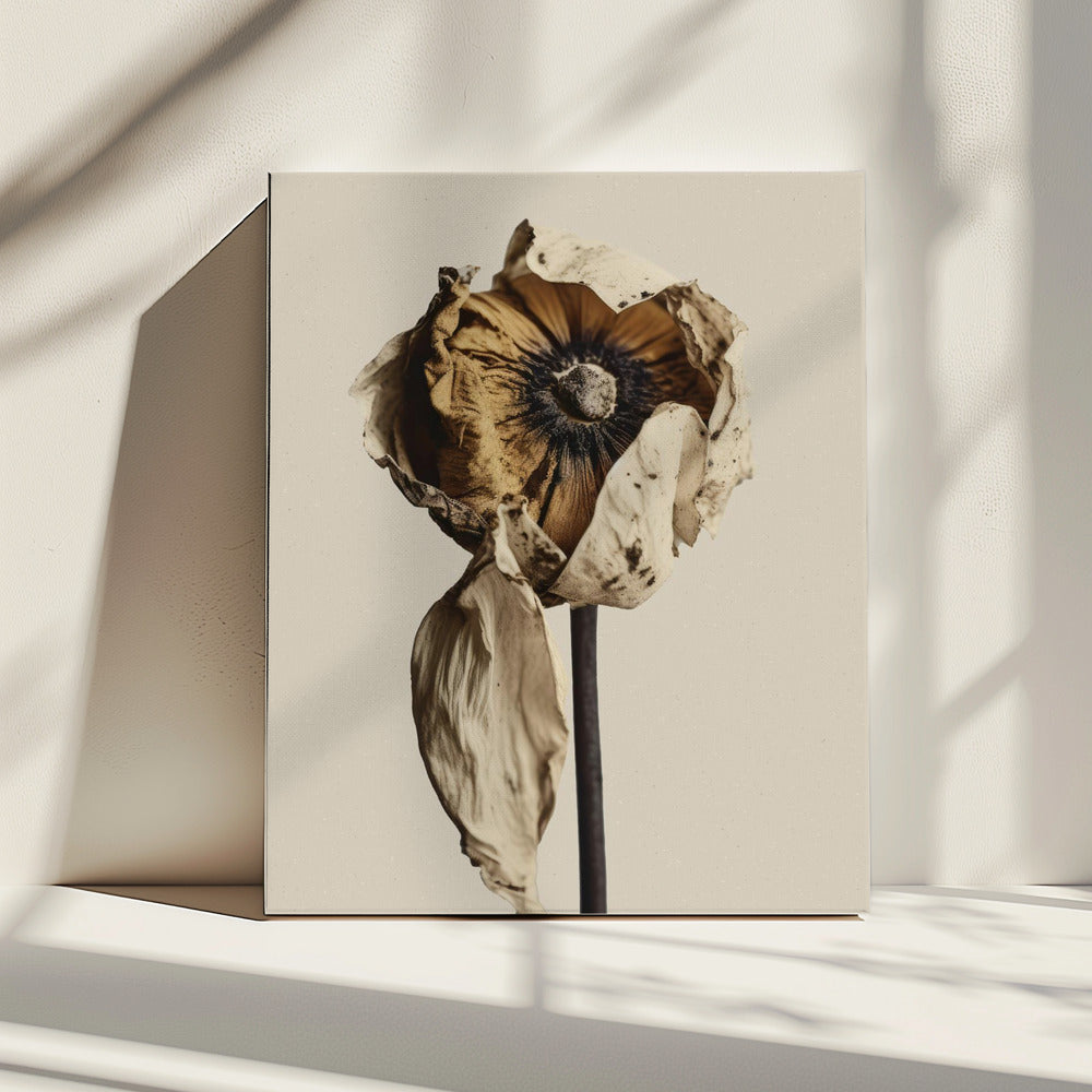Vervagende elegantie | Canvas