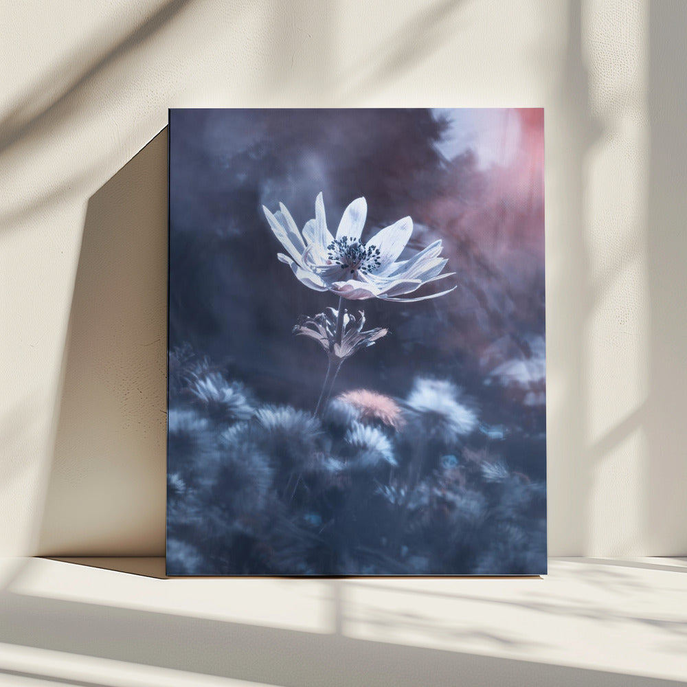 Het goddelijke geluid van de schepping | Canvas
