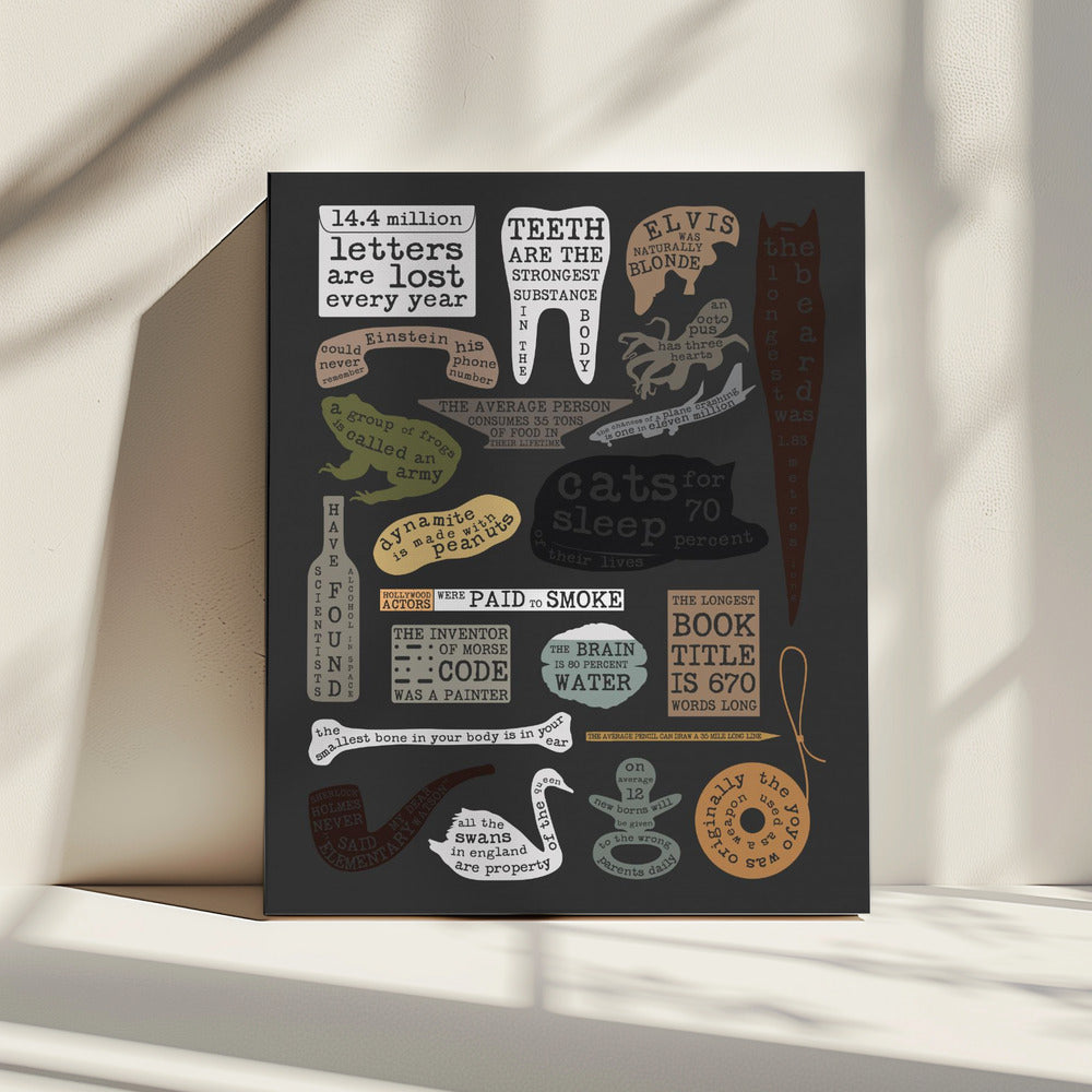 Nuttige feiten | Canvas