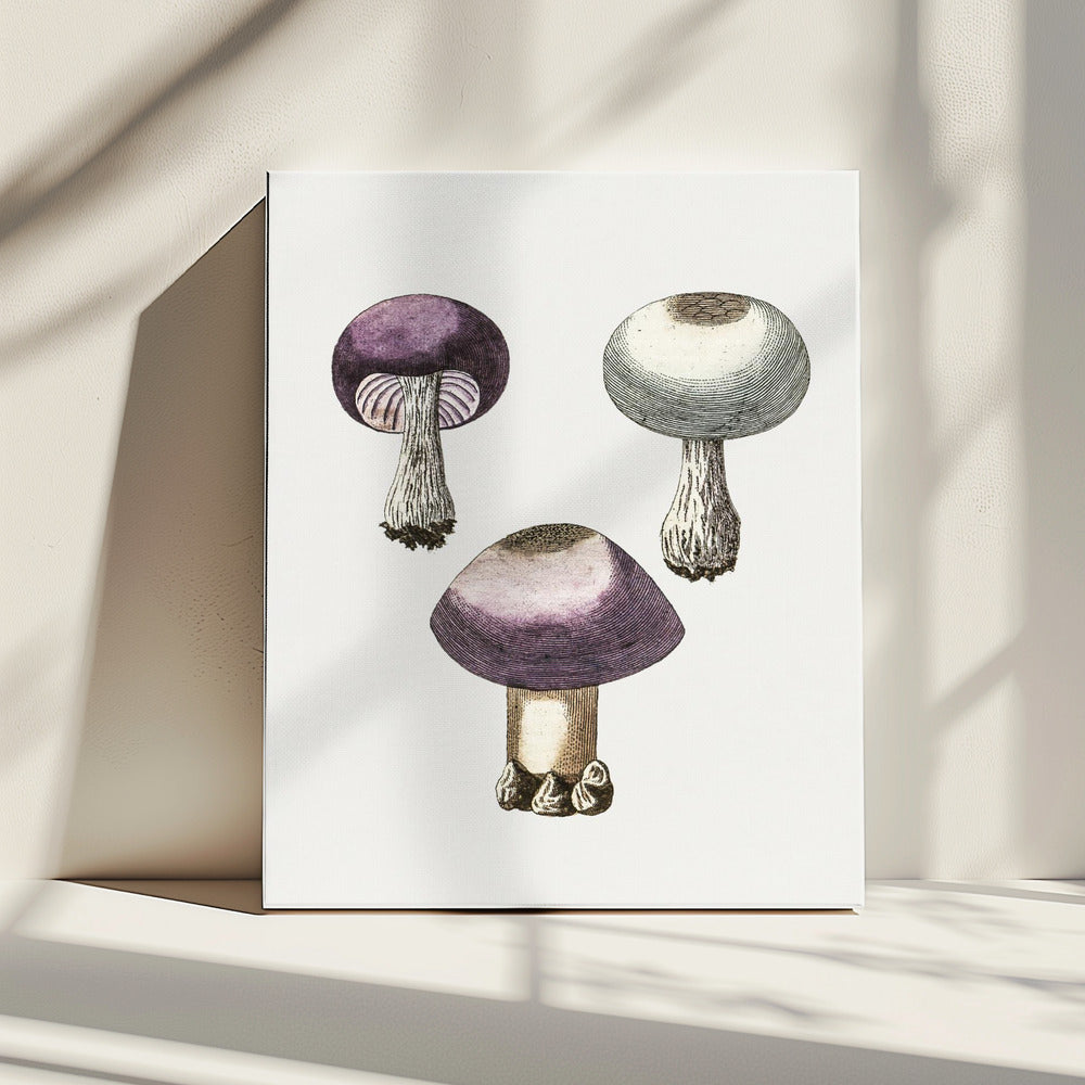 Handdauw Violet Webcap Paddenstoel | Canvas