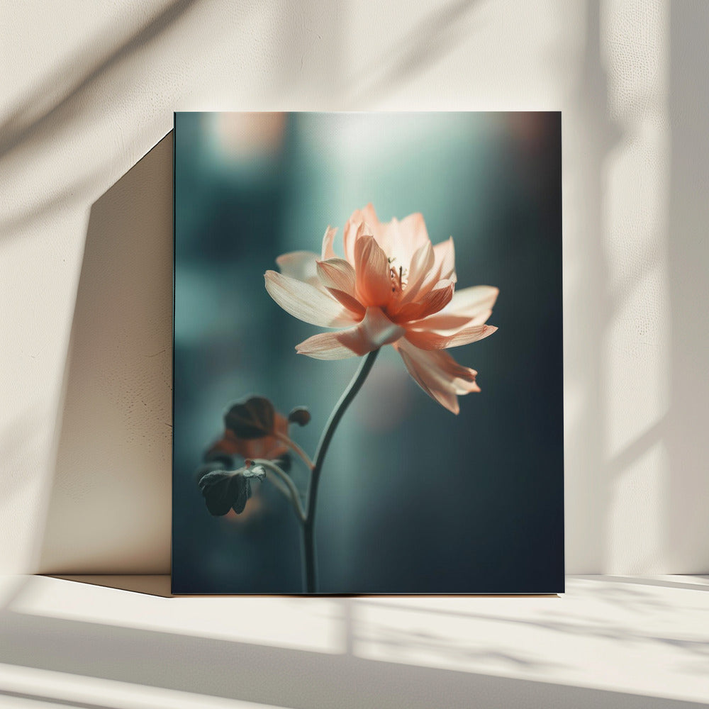 Bloemblaadjessereniteit | Canvas