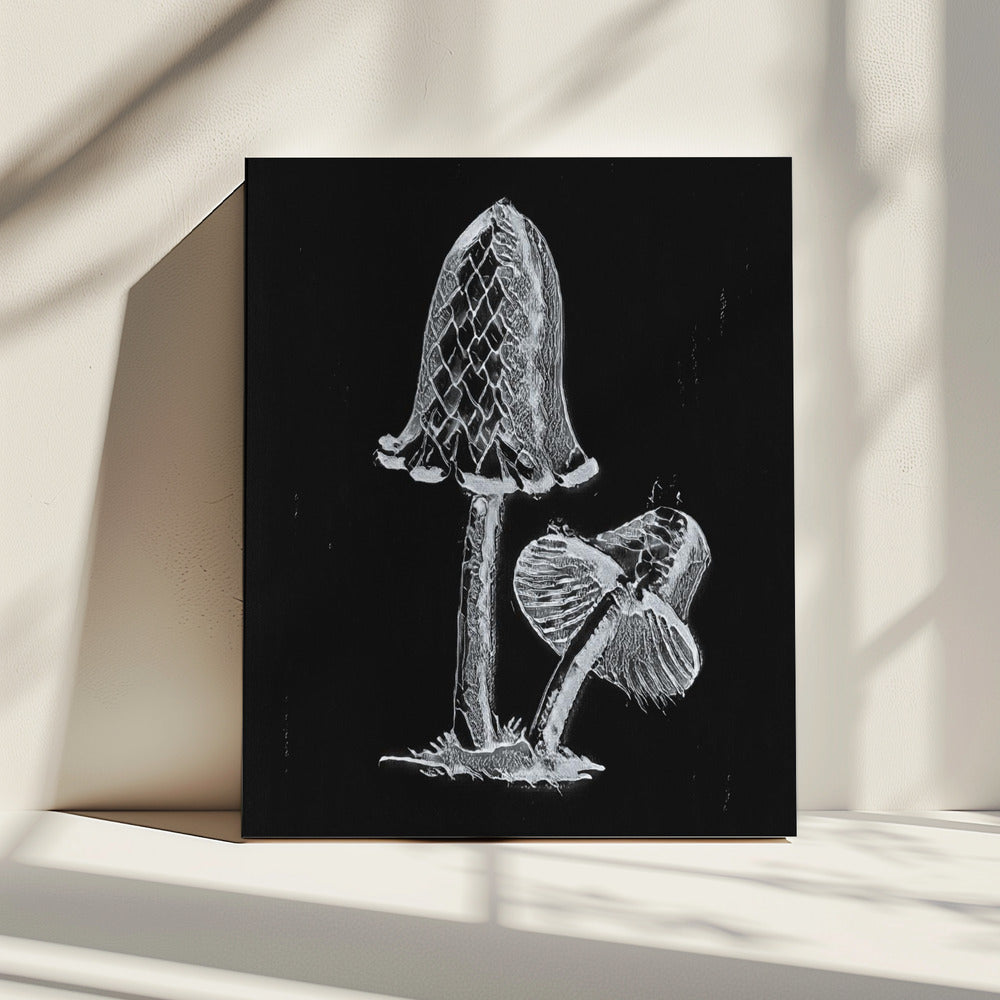 Vintage Inky Cap eetbare paddenstoel donker zwart | Canvas