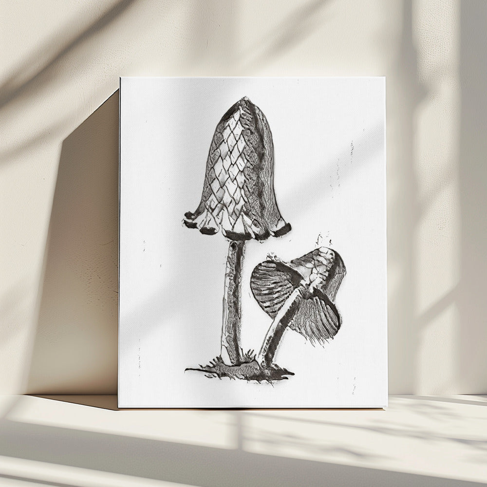 Vintage Inky Cap eetbare paddenstoel zwart/wit helder | Canvas