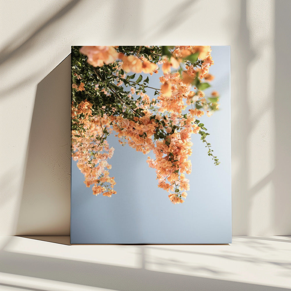 Gouden Bloesem Dans | Canvas