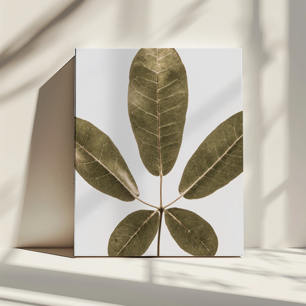 Vijfbladige harmonie | Canvas