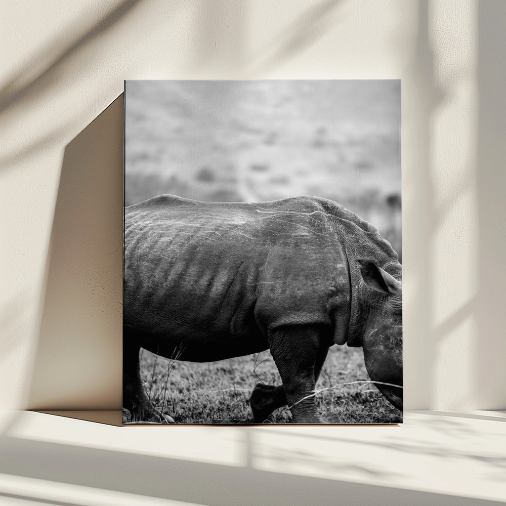 Zachte reuzenwandeling | Canvas