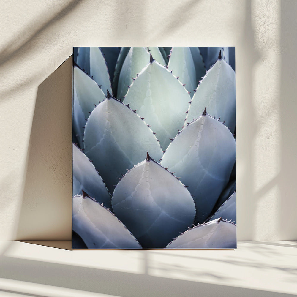 Agave Geometrie | Canvas