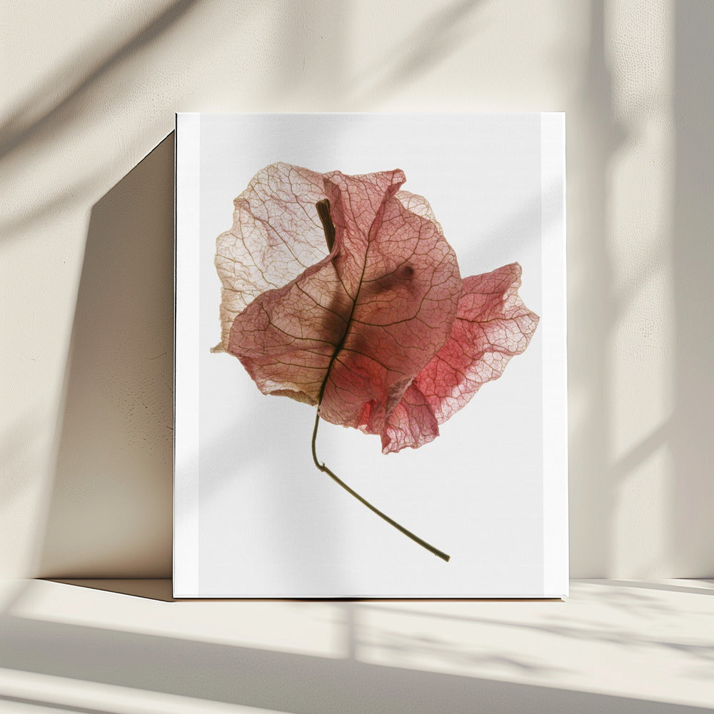 Delicate Bloemblaadjesaders | Canvas