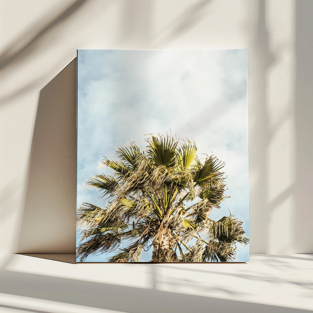 Zonovergoten bladeren | Canvas