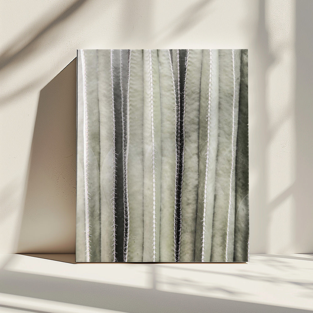 Cactussymfonie | Canvas