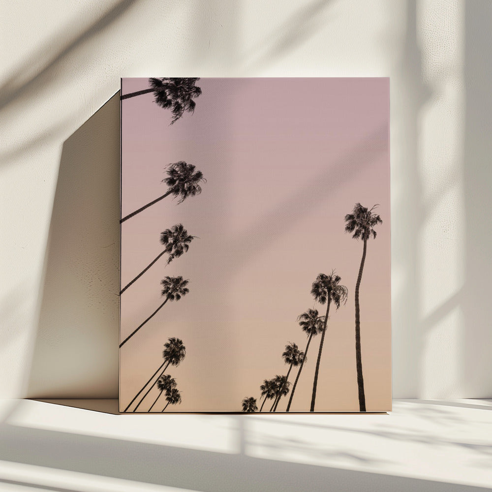 Schemeringpalmen | Canvas