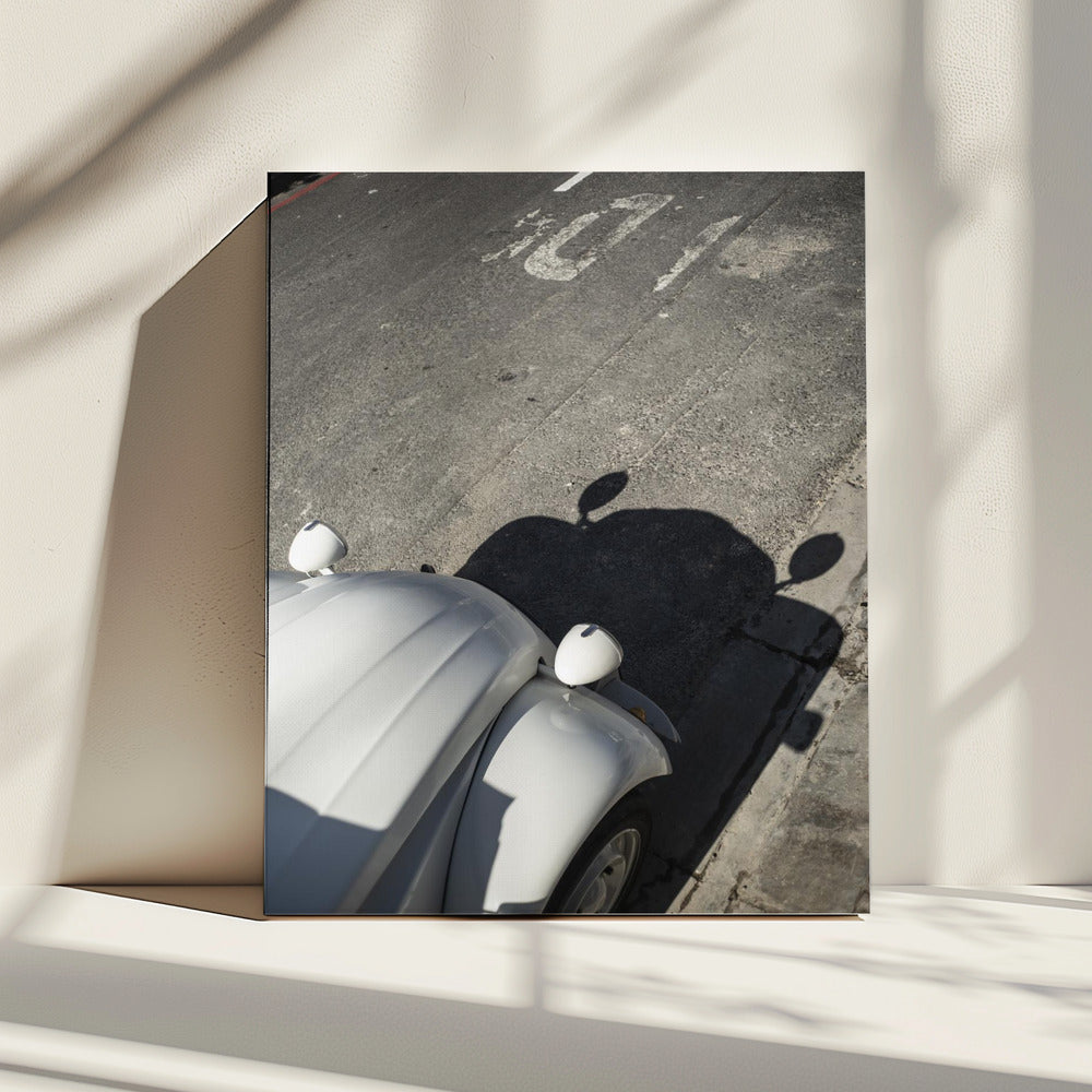 Klassieke Curve Schaduwen | Canvas