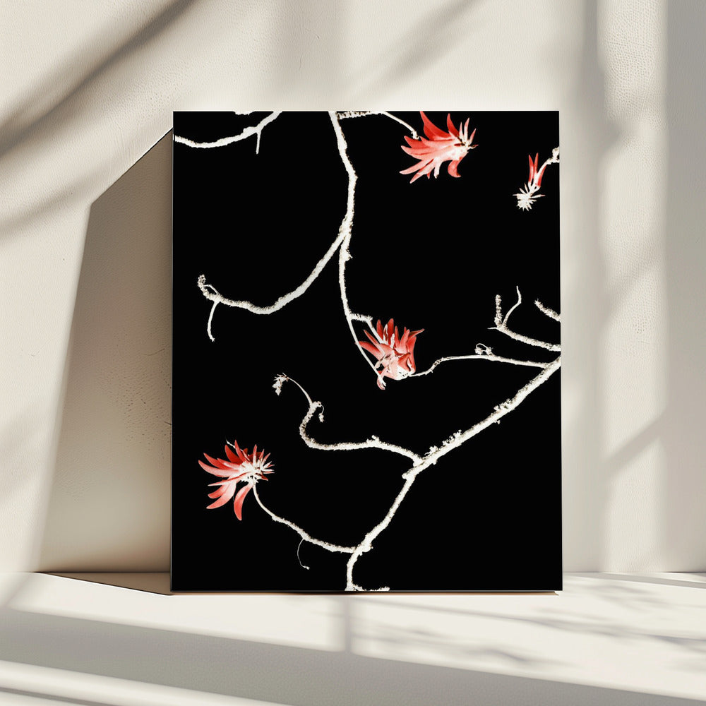 Scharlaken Tak Dans | Canvas