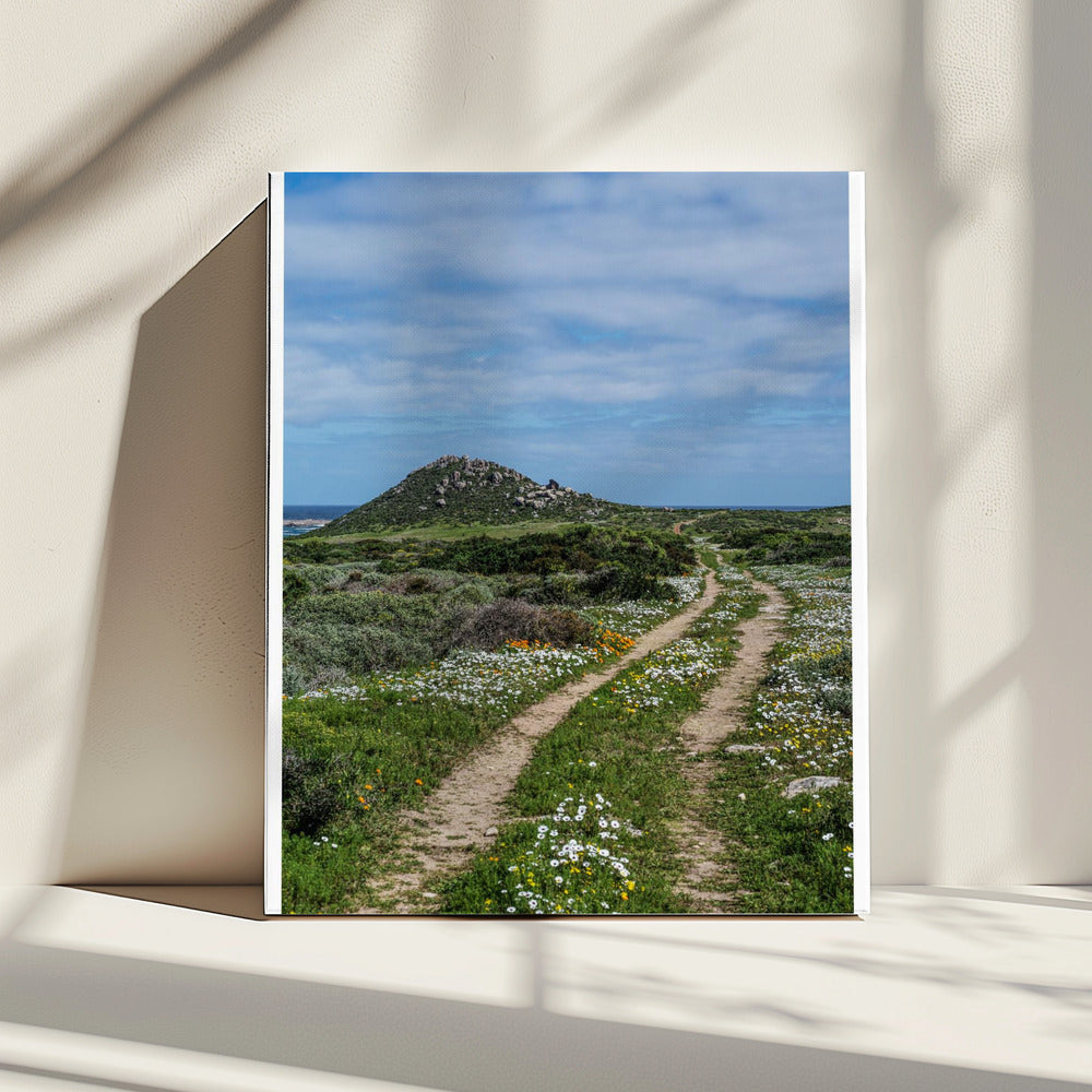 Pad naar sereniteit | Canvas