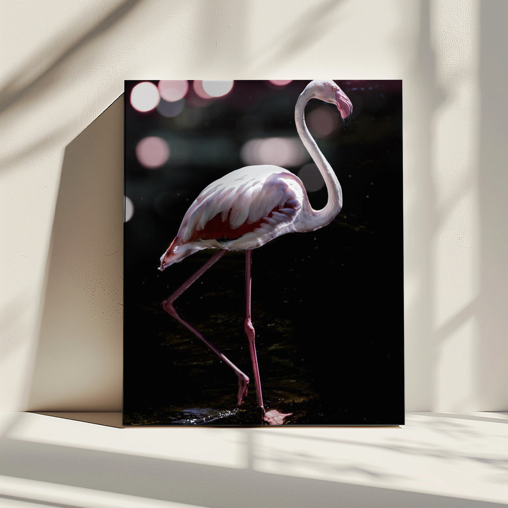 Elegante flamingo | Canvas
