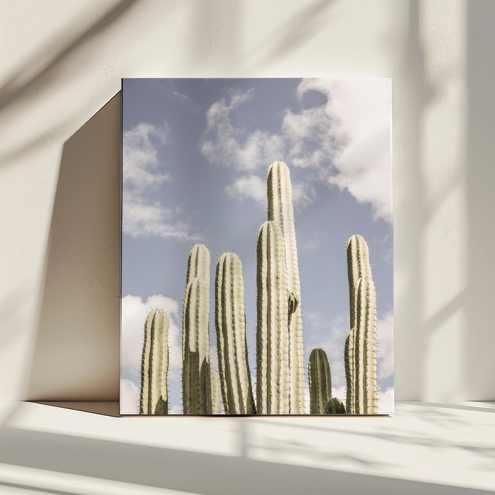 Woestijnwachters | Canvas