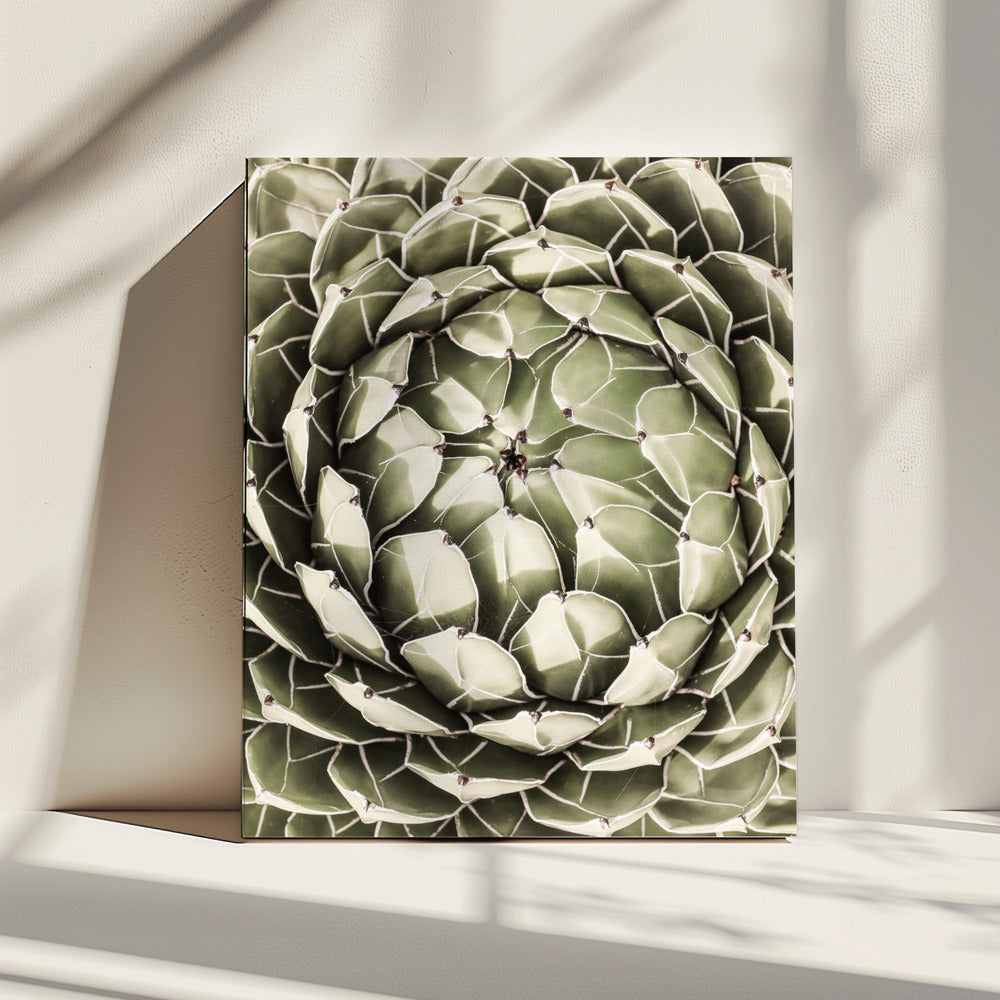 Geometrische vetplant | Canvas