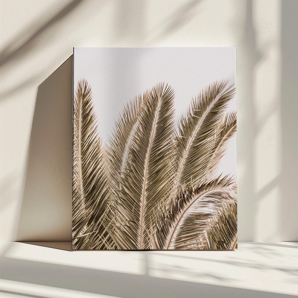 Winderige palmen | Canvas