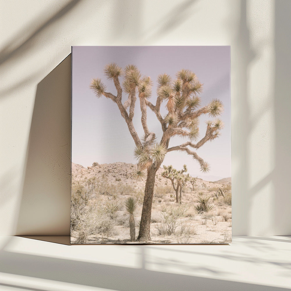 Woestijnsereniteit | Canvas