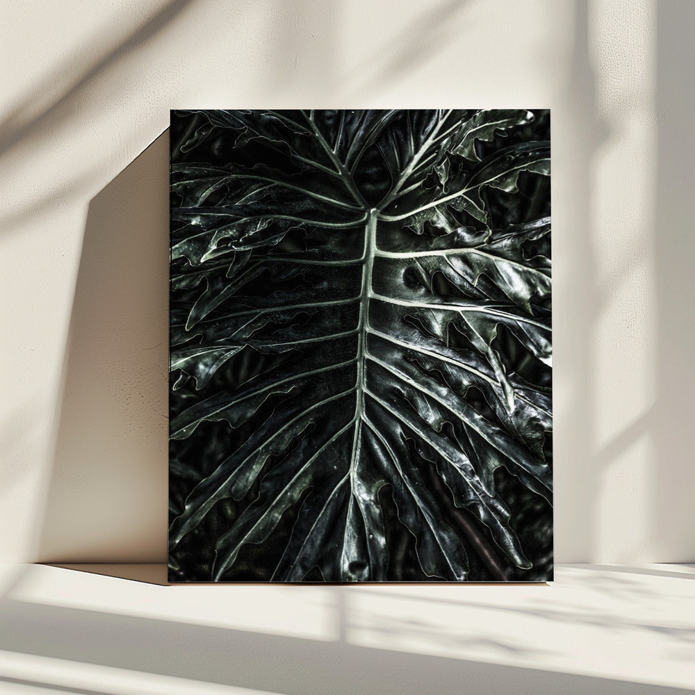 Donkere blad elegantie | Canvas