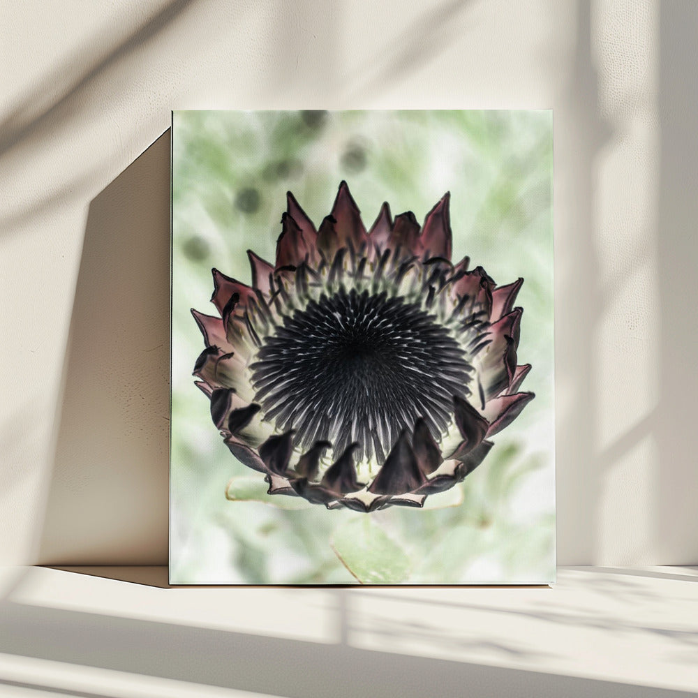Mystieke Bloei | Canvas