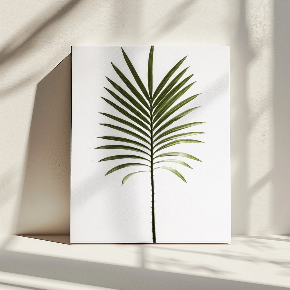 Groene Frond | Canvas