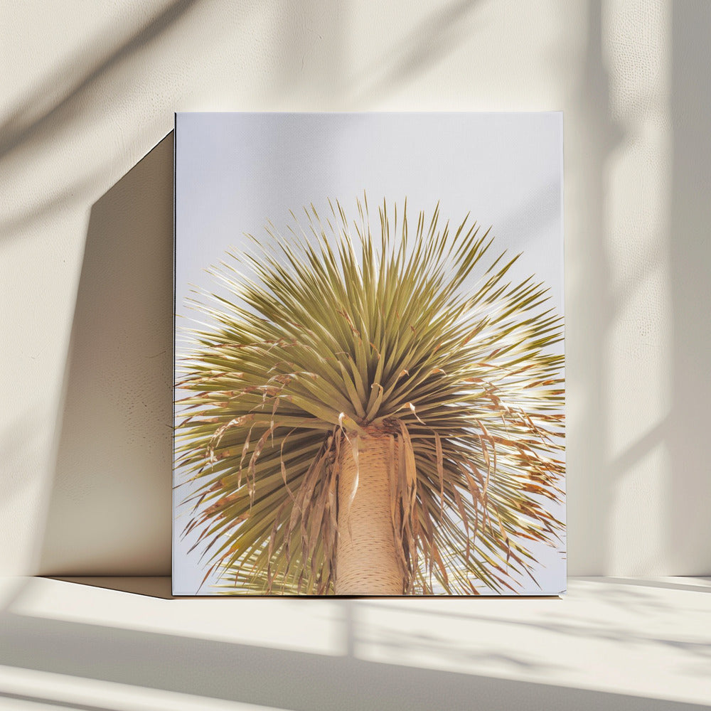 Woestijnkroon | Canvas