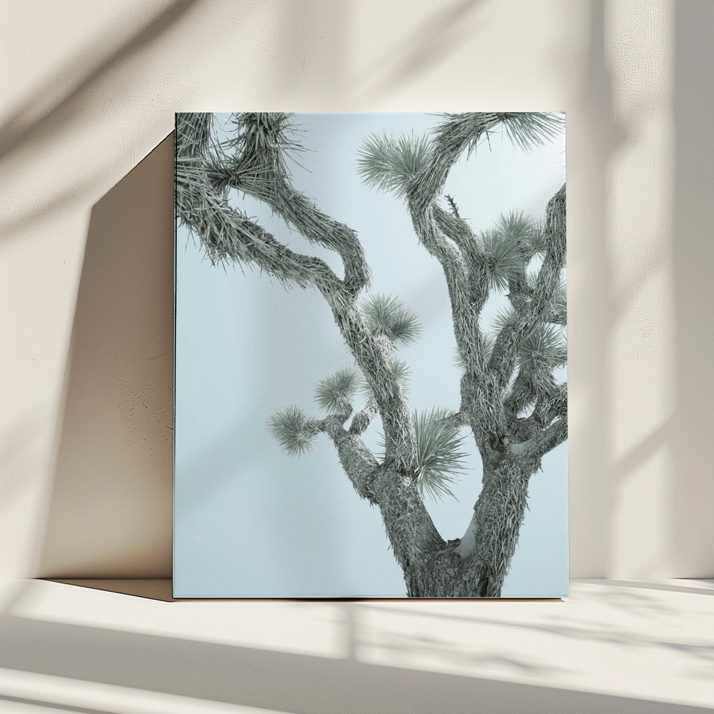 Woestijn Elegantie | Canvas