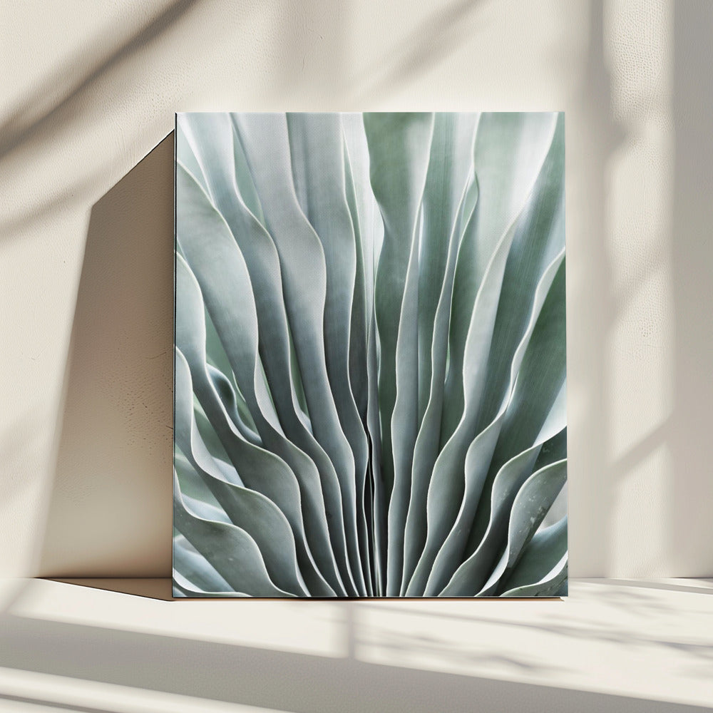 De gratie van de natuur | Canvas