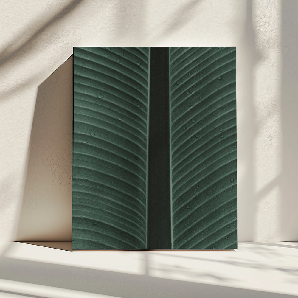 Dauwbladsymfonie | Canvas