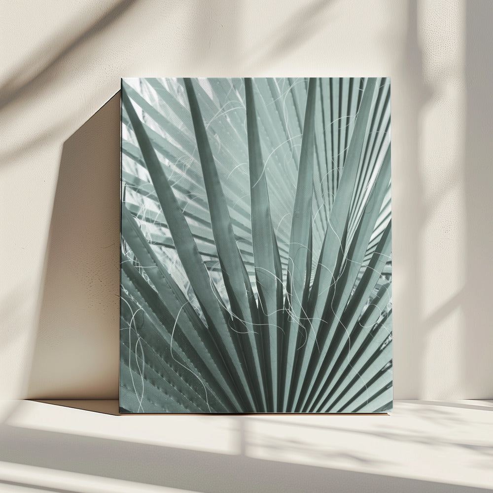 Varengeometrie | Canvas