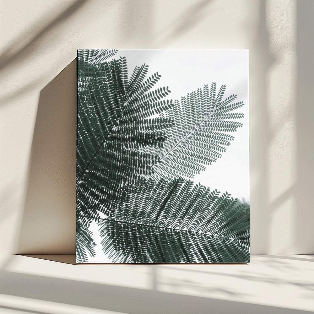 Fluisterende Varen | Canvas