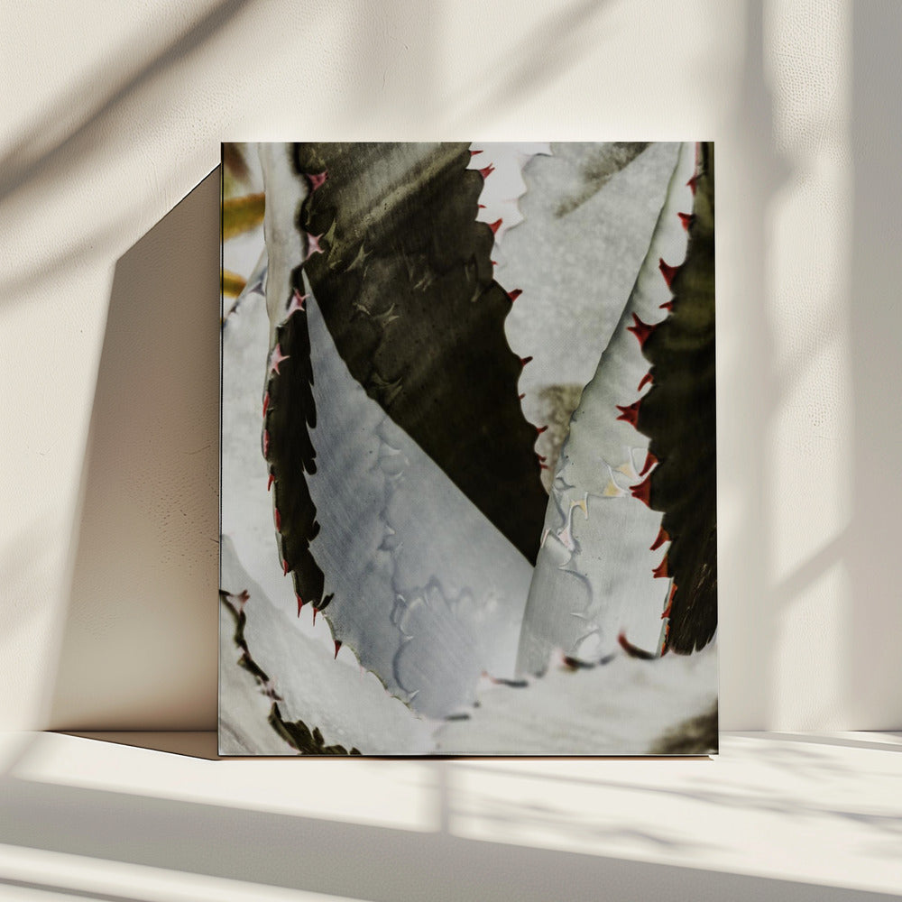 Woestijn Elegantie | Canvas