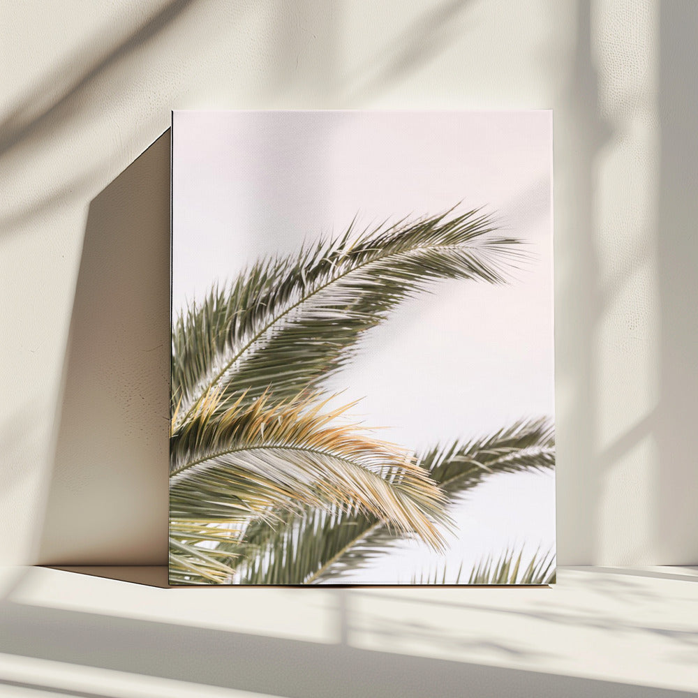 Serene palmen zwaaien | Canvas