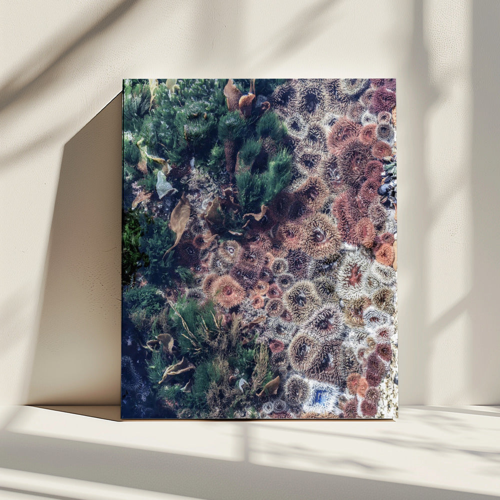 Oceaanwandtapijt | Canvas